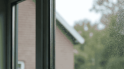 Professional vs. DIY Window Cleaning: Which Option is Right for You?